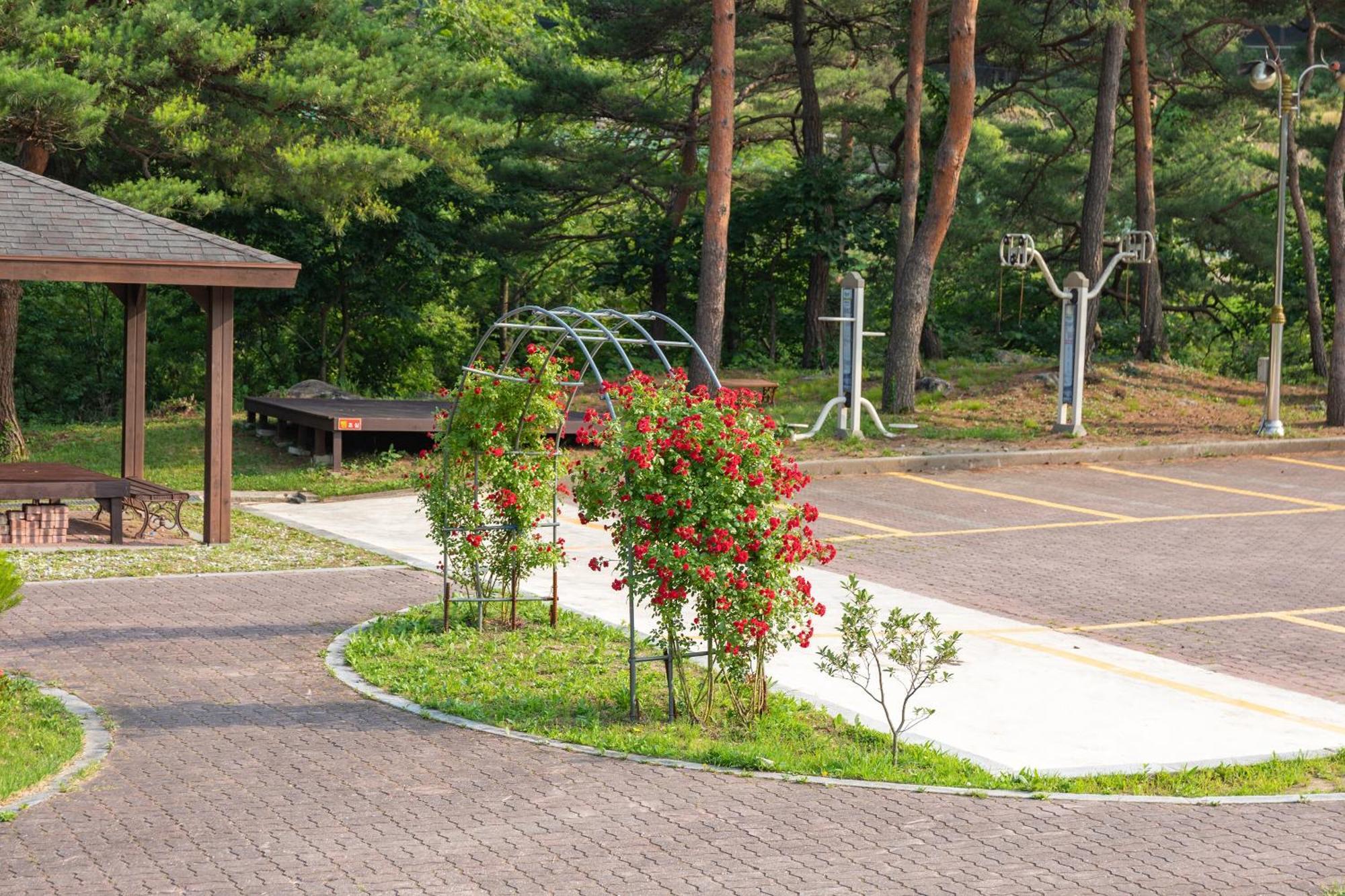 Gangneung Yasaenghwa Maeul Hotel Exterior photo